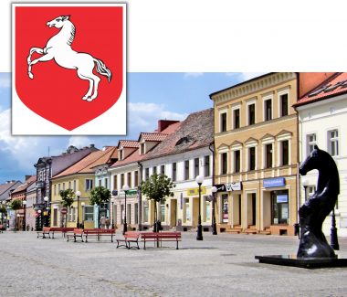 1.	Szeroki pasek przedstawiający wspiętego konia (herb Konina). Poniżej fragment ul. Plac Wolności z budynkami sklepowymi, ławkami, lampami i rzeźbą konia.